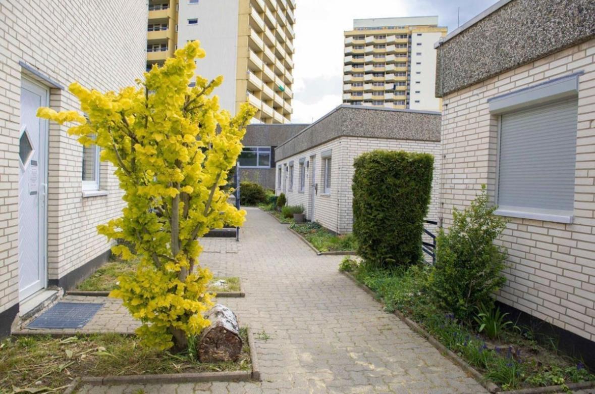 Ferienwohnung 479 Mit Schwimmbad,Sauna Und Bar In Panoramic Hohegeiss Braunlage Εξωτερικό φωτογραφία